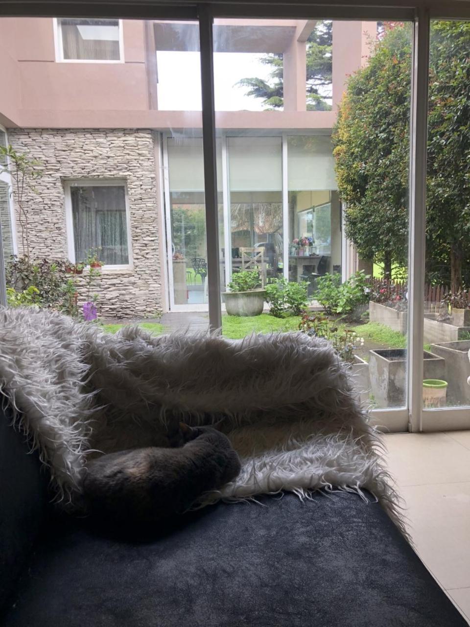 Casa Guemes *